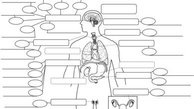 system design interview